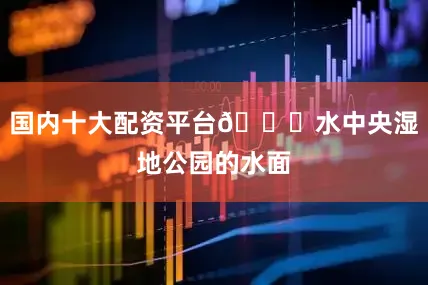国内十大配资平台🌅水中央湿地公园的水面
