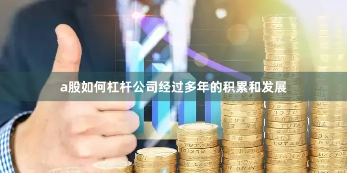 a股如何杠杆公司经过多年的积累和发展